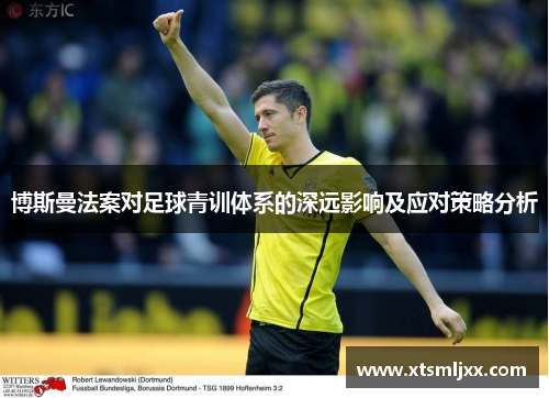 博斯曼法案对足球青训体系的深远影响及应对策略分析 博斯曼法案对足球青训体系的深远影响及应对策略分析